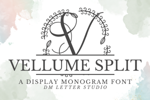 Vellume Split Monogram