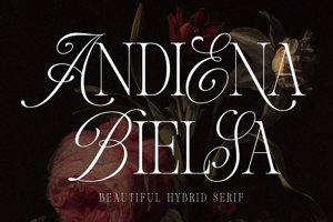 Related font Andiena Bielsa