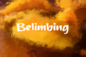 b Belimbing
