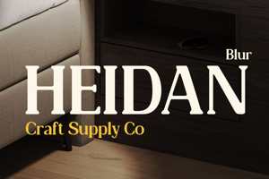 Related font Heidan Blur