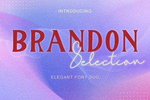 Brandon Selection Serif