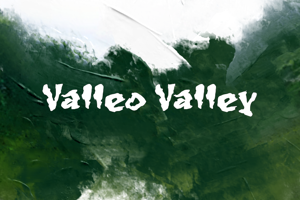 Related font v Valleo Valley