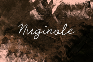 Related font n Nuginole