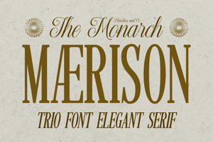 Related font MAERISON SERIF