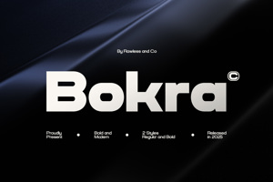 Related font BOKRA