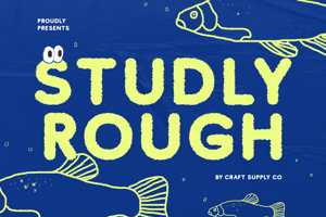 Related font Studly Rough