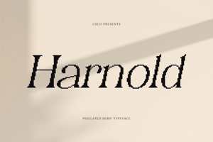Related font Harnold Pixel