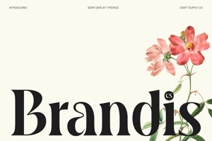 Related font CS Brandis