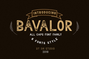 Bavalor Reg