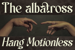 Related font Schales DEMO