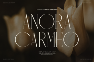 Related font Anora Carmeo