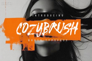 Cozybrush Font