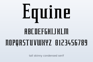 Related font Equine