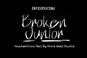 Broken Junior