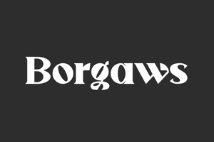 Borgaws