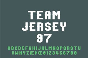 Team Jersey 97