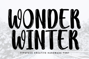 Related font Wonder Winter