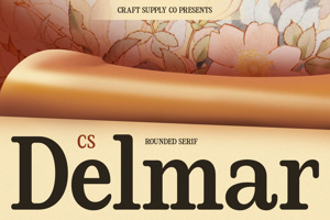Related font CS Delmar