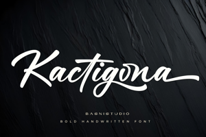Related font Kactigona