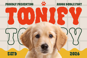 Related font Toonify