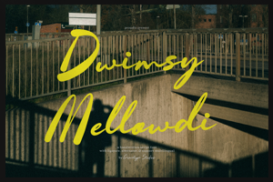 Dwimsy Mellowdi