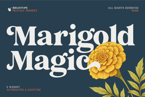 Marigold Magic