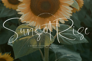 Related font Sunset Rise