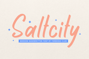 Saltcity