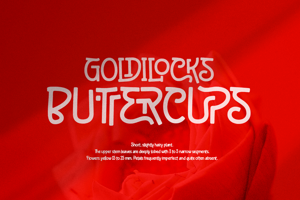 Related font BRIGEND