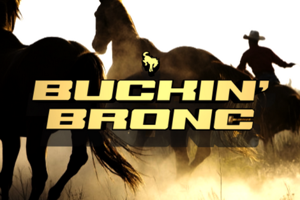 Buckin ' Bronc