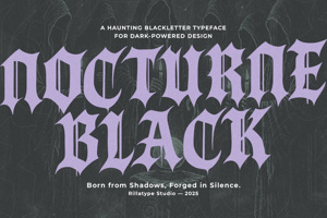 Related font RT Nocturne Black