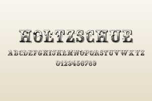 Related font Holtzschue