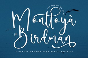 Monttoya Birdman