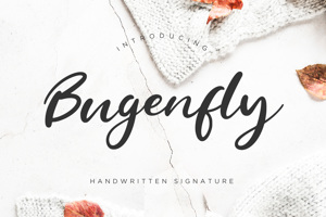Bugenfly