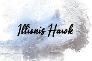 i Illinois Hawk