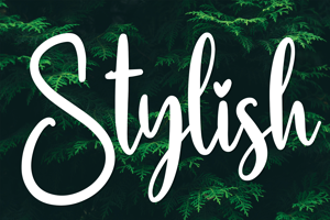 Related font Stylish