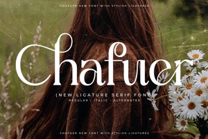 Chafuer