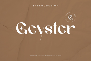Geyster Modern/Vintage Font