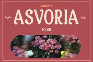 Asvoria Rough