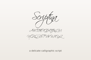 Related font Scriptina