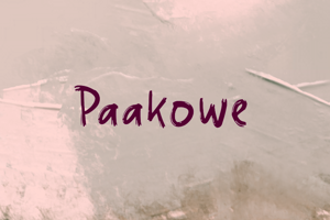 Related font Paakowe