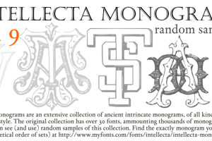 Intellecta Monograms Random Nine