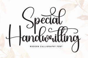 Related font Special Handwritting