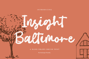 Insight Baltimore