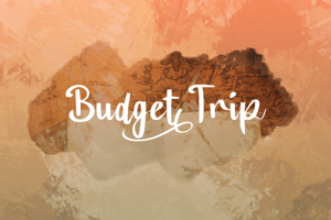 a Budget Trip