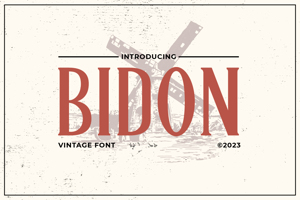 Bidon - Serif Vintage Font