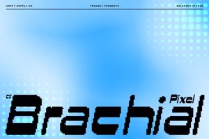 Related font CS Brachial Pixel