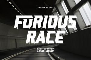 Furious Race