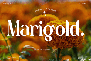Marigold