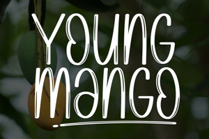 Related font Young Mango